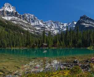 Lake Ohara Field British Columbia Canada Panoramic Landscape Sale Art Printing Animal Nature Leave - 017027 - 22-08-2015 - 9553x7822 Pixel Lake Ohara Field British Columbia Canada Panoramic Landscape Sale Art Printing Animal Nature Leave Hi Resolution Fine Art Photography Galleries Fine Arts Fine...