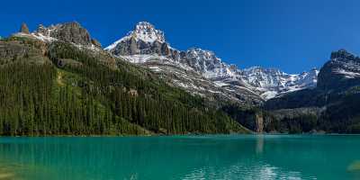 Lake Ohara Field British Columbia Canada Panoramic Landscape Prints Fine Art Nature Photography - 017030 - 22-08-2015 - 22760x7519 Pixel Lake Ohara Field British Columbia Canada Panoramic Landscape Prints Fine Art Nature Photography View Point Fine Art Prints For Sale Art Prints Animal Image...