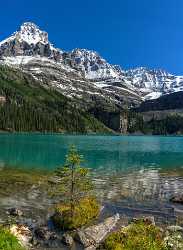 Lake Ohara Field British Columbia Canada Panoramic Landscape Art Printing Spring Fine Art Landscape - 017033 - 22-08-2015 - 7490x10259 Pixel Lake Ohara Field British Columbia Canada Panoramic Landscape Art Printing Spring Fine Art Landscape Fine Art Photography Mountain Fine Art Pictures Pass Fine...