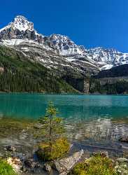 Lake Ohara Field British Columbia Canada Panoramic Landscape Art Printing Spring Fine Art Landscape - 017033 - 22-08-2015 - 7490x10259 Pixel Lake Ohara Field British Columbia Canada Panoramic Landscape Art Printing Spring Fine Art Landscape Fine Art Photography Mountain Fine Art Pictures Pass Fine...