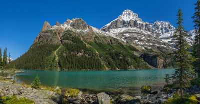 Lake Ohara Field British Columbia Canada Panoramic Landscape Flower Fine Art Photographers Sunshine - 017034 - 22-08-2015 - 14517x7573 Pixel Lake Ohara Field British Columbia Canada Panoramic Landscape Flower Fine Art Photographers Sunshine Coast Fine Art Photography Prints Grass Fine Art Posters Ice...