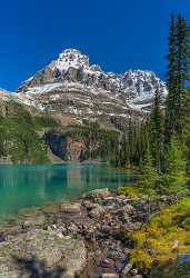 Lake Ohara Field British Columbia Canada Panoramic Landscape Fine Art Photography For Sale - 017038 - 22-08-2015 - 7512x11008 Pixel Lake Ohara Field British Columbia Canada Panoramic Landscape Fine Art Photography For Sale Royalty Free Stock Images City Senic Fine Art Print Modern Wall Art...