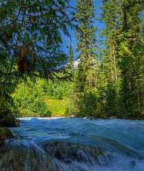 Kinney Lake Mount Robson Tete Jaune Cache British Fine Art Fine Art Photography Nature Creek Leave - 017117 - 25-08-2015 - 7167x8488 Pixel Kinney Lake Mount Robson Tete Jaune Cache British Fine Art Fine Art Photography Nature Creek Leave Prints Flower Stock Pictures Landscape Autumn Rock Grass Fine...