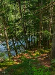 Kinney Lake Mount Robson Tete Jaune Cache British Fine Art Photography Prints For Sale - 017118 - 25-08-2015 - 7165x9748 Pixel Kinney Lake Mount Robson Tete Jaune Cache British Fine Art Photography Prints For Sale Royalty Free Stock Photos Fine Art Printing Leave Spring Fine Art Giclee...