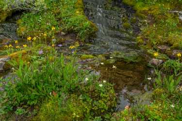 Single Shot Canada Panoramic Landscape Photography Scenic Lake Stock Images Fine Art Photography - 017717 - 17-08-2015 - 7952x5304 Pixel Single Shot Canada Panoramic Landscape Photography Scenic Lake Stock Images Fine Art Photography Leave Animal Western Art Prints For Sale Fine Art Printer Town...