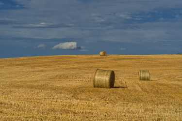 Single Shot Canada Panoramic Landscape Photography Scenic Lake Fine Art Photographer Sunshine - 018497 - 30-08-2015 - 7952x5304 Pixel Single Shot Canada Panoramic Landscape Photography Scenic Lake Fine Art Photographer Sunshine Fine Art Photography Prints For Sale Photo Fine Art Photography...