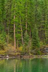 Single Shot Canada Panoramic Landscape Photography Scenic Lake Pass Shoreline Shore Forest Flower - 018710 - 03-09-2015 - 5304x7952 Pixel Single Shot Canada Panoramic Landscape Photography Scenic Lake Pass Shoreline Shore Forest Flower Fine Art Photography Prints Tree Fine Art Photographer Stock...