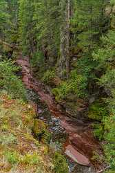 Single Shot Canada Panoramic Landscape Photography Scenic Lake Shore Photography Prints For Sale - 018553 - 31-08-2015 - 5304x7952 Pixel Single Shot Canada Panoramic Landscape Photography Scenic Lake Shore Photography Prints For Sale Town Fine Art Landscape Stock Photos What Is Fine Art...