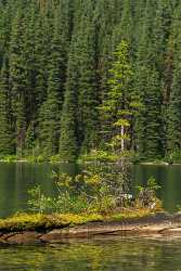 Single Shot Canada Panoramic Landscape Photography Scenic Lake Country Road View Point - 018384 - 29-08-2015 - 5304x7952 Pixel Single Shot Canada Panoramic Landscape Photography Scenic Lake Country Road View Point Fine Art Printer Fog Art Printing Western Art Prints For Sale Fine Art...