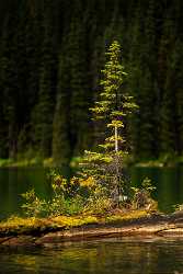 Single Shot Canada Panoramic Landscape Photography Scenic Lake Fine Art Photos - 018385 - 29-08-2015 - 5304x7952 Pixel Single Shot Canada Panoramic Landscape Photography Scenic Lake Fine Art Photos Fine Art Nature Photography Flower Summer Stock Image River Leave Autumn Forest...