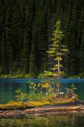 Single Shot Canada Panoramic Landscape Photography Scenic Lake Modern Art Prints - 018386 - 29-08-2015 - 5304x7952 Pixel Single Shot Canada Panoramic Landscape Photography Scenic Lake Modern Art Prints Fine Art Photographer River Park Fine Art Fotografie Landscape Photography...