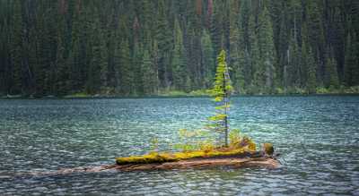 Single Shot Canada Panoramic Landscape Photography Scenic Lake Coast Park Fine Art Prints Spring - 018394 - 29-08-2015 - 7952x4356 Pixel Single Shot Canada Panoramic Landscape Photography Scenic Lake Coast Park Fine Art Prints Spring Sale Stock Pictures Outlook Rain Summer Fine Art Photo Snow...