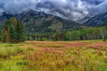 Single Shot Canada Panoramic Landscape Photography Scenic Lake Leave Fine Art Prints - 018591 - 04-09-2015 - 7952x5304 Pixel Single Shot Canada Panoramic Landscape Photography Scenic Lake Leave Fine Art Prints Art Photography For Sale Summer Coast Prints Photography Prints For Sale...