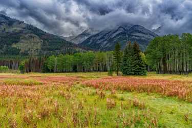 Single Shot Canada Panoramic Landscape Photography Scenic Lake Animal Barn Coast Fine Art Printer - 018592 - 04-09-2015 - 7952x5304 Pixel Single Shot Canada Panoramic Landscape Photography Scenic Lake Animal Barn Coast Fine Art Printer Fine Art Prints Art Photography Gallery Art Printing Winter...