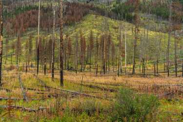 Single Shot Canada Panoramic Landscape Photography Scenic Lake Fine Art Nature Photography Beach - 018594 - 04-09-2015 - 7952x5304 Pixel Single Shot Canada Panoramic Landscape Photography Scenic Lake Fine Art Nature Photography Beach Hi Resolution Senic Town Photo Fine Art Fine Art Photography...