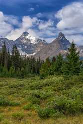 Single Shot Canada Panoramic Landscape Photography Scenic Lake Sky Leave Tree Stock Pictures Animal - 017999 - 23-08-2015 - 5304x7952 Pixel Single Shot Canada Panoramic Landscape Photography Scenic Lake Sky Leave Tree Stock Pictures Animal Hi Resolution Fine Art Photographers Sale Creek Forest View...