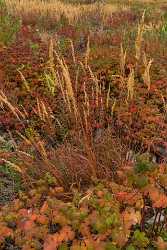 Single Shot Canada Panoramic Landscape Photography Scenic Lake Sea Nature Fine Art Printing Stock - 018339 - 27-08-2015 - 5304x7952 Pixel Single Shot Canada Panoramic Landscape Photography Scenic Lake Sea Nature Fine Art Printing Stock Fine Art Pictures Country Road Grass Fine Art Photography...