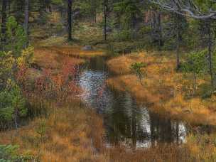 Carcross Lake