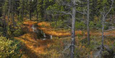 Carcross Lake Klondike Hwy Yukon Panoramic Landscape Photography Art Prints For Sale - 020226 - 13-09-2016 - 16147x8099 Pixel Carcross Lake Klondike Hwy Yukon Panoramic Landscape Photography Art Prints For Sale Prints For Sale Images Fine Arts Prints Fine Art Image Stock Stock Photos...