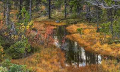 Carcross Lake Klondike Hwy Yukon Panoramic Landscape Photography Images Image Stock Town - 020327 - 13-09-2016 - 13300x7945 Pixel Carcross Lake Klondike Hwy Yukon Panoramic Landscape Photography Images Image Stock Town Landscape Photography Fine Arts Photography Shore Coast View Point Fine...