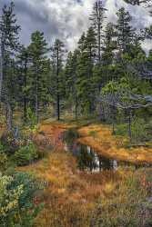 Carcross Lake Klondike Hwy Yukon Panoramic Landscape Photography Fine Art Photography For Sale - 020355 - 13-09-2016 - 7796x12853 Pixel Carcross Lake Klondike Hwy Yukon Panoramic Landscape Photography Fine Art Photography For Sale Fine Art Photos Fine Art Pictures Prints For Sale Fine Art...