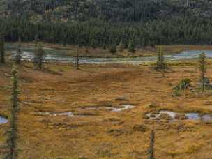 Klondike Highway