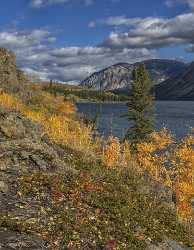 Carcross Lake Bennett Klondike Hwy Yukon Panoramic Landscape Spring Autumn - 020441 - 14-09-2016 - 7716x9943 Pixel Carcross Lake Bennett Klondike Hwy Yukon Panoramic Landscape Spring Autumn Fine Art Nature Photography Fine Art Printing Photo Sunshine Color Leave Animal Fine...