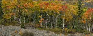 Craig Lake Craig Lake - Panoramic - Landscape - Photography - Photo - Print - Nature - Stock Photos - Images - Fine Art Prints -...