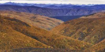 Dawson City Viewpoint Yukon Panoramic Landscape Photography Tundra - 020251 - 11-09-2016 - 15927x7829 Pixel Dawson City Viewpoint Yukon Panoramic Landscape Photography Tundra Fine Art Photography Prints For Sale Island What Is Fine Art Photography Stock Image Fine Art...