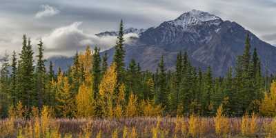 Haines Junction Alaska Hwy Yukon Panoramic Landscape Photography Art Photography Gallery Art Prints - 020259 - 15-09-2016 - 16021x7730 Pixel Haines Junction Alaska Hwy Yukon Panoramic Landscape Photography Art Photography Gallery Art Prints Rain Famous Fine Art Photographers Sea Fine Art Photo...