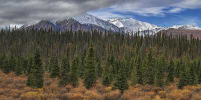 Haines Junction Alaska Hwy Yukon Panoramic Landscape Photography - 020278 - 15-09-2016 - 15494x7728 Pixel Haines Junction Alaska Hwy Yukon Panoramic Landscape Photography Fine Art Photography Prints For Sale Beach Sea Art Photography For Sale Fine Art Photos Image...