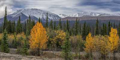 Haines Junction Alaska Hwy Yukon Panoramic Landscape Photography Fine Art Photography Gallery - 020399 - 15-09-2016 - 13690x6342 Pixel Haines Junction Alaska Hwy Yukon Panoramic Landscape Photography Fine Art Photography Gallery What Is Fine Art Photography Famous Fine Art Photographers Photo...