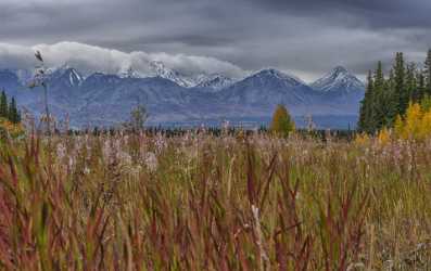 Haines Junction Alaska Hwy Yukon Swamp Panoramic Landscape Royalty Free Stock Photos - 020517 - 14-09-2016 - 9731x6131 Pixel Haines Junction Alaska Hwy Yukon Swamp Panoramic Landscape Royalty Free Stock Photos Fine Art Prints Fine Art Landscapes Fine Art America Fine Art Prints For...