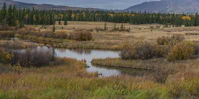 Ibex Valley Whitehorse Yukon Swamp Panoramic Landscape Photography Image Stock - 020102 - 14-09-2016 - 21781x7834 Pixel Ibex Valley Whitehorse Yukon Swamp Panoramic Landscape Photography Image Stock Royalty Free Stock Images Flower Spring Fine Art Landscape Photography Fine Art...