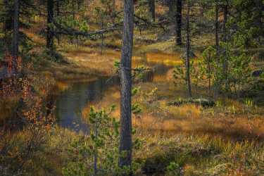 Single Shot Yukon Canada Panoramic Landscape Photography Scenic Creek River Sale Fine Art Pictures - 020846 - 13-09-2016 - 7952x5304 Pixel Single Shot Yukon Canada Panoramic Landscape Photography Scenic Creek River Sale Fine Art Pictures Summer Lake Modern Wall Art Royalty Free Stock Images Rain...