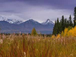 Mountain Range