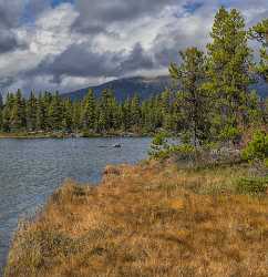 Whitehorse Klondike Hwy Yukon Panoramic Landscape Photography Tundra Tree - 020499 - 13-09-2016 - 7897x8164 Pixel Whitehorse Klondike Hwy Yukon Panoramic Landscape Photography Tundra Tree Famous Fine Art Photographers Animal Town Outlook Photography Prints For Sale City Hi...