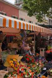 Nizza Altstadt Blumenmarkt Zentrum Panorama Cote D Azur Photo Fine Art Printer Fine Art Photography - 006552 - 21-04-2010 - 4349x7768 Pixel Nizza Altstadt Blumenmarkt Zentrum Panorama Cote D Azur Photo Fine Art Printer Fine Art Photography Sunshine Fine Art Photos Animal Fog Color Art Photography...