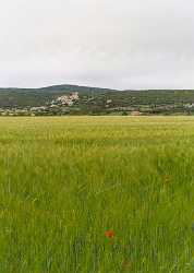 Simiane La Rotonde Alpes De Haute Provence France Creek Grass Panoramic Fine Art Pictures - 016592 - 25-05-2014 - 7171x10051 Pixel Simiane La Rotonde Alpes De Haute Provence France Creek Grass Panoramic Fine Art Pictures Fine Art Print Fine Art Photographer Art Prints Fine Art Prints For...