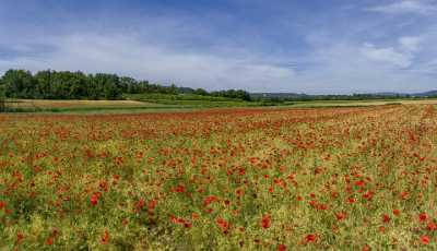 La Tour Aigues Alpes De Haute Provence France Art Photography For Sale Landscape Photography - 015648 - 29-05-2014 - 10596x6090 Pixel La Tour Aigues Alpes De Haute Provence France Art Photography For Sale Landscape Photography Hi Resolution Art Prints For Sale Modern Wall Art Park River Fine...