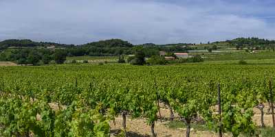 La Tour Aigues Alpes De Haute Provence France Photography Summer Sale Art Printing Island - 015649 - 29-05-2014 - 19386x6681 Pixel La Tour Aigues Alpes De Haute Provence France Photography Summer Sale Art Printing Island Fine Art Nature Photography Fine Art Photography For Sale Forest Fine...