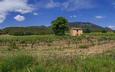 Rustrel Alpes De Haute Provence France Mountain Village Stock Pictures Landscape Nature - 015724 - 26-05-2014 - 10624x6631 Pixel Rustrel Alpes De Haute Provence France Mountain Village Stock Pictures Landscape Nature Fine Art Printing Country Road Fine Art Photography Galleries Winter...