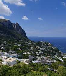 Capri Island Marina Grande Italy Campania Summer Sea Tree Art Photography Gallery Coast Fine Art - 013675 - 14-08-2013 - 6688x7665 Pixel Capri Island Marina Grande Italy Campania Summer Sea Tree Art Photography Gallery Coast Fine Art Stock Photos Photo Fine Art Flower Fine Art Photography Prints...