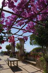 Ravello Tyrrhenian Sea Town Italy Campania Summer Viewpoint Cloud Fine Art Print Tree - 013245 - 05-08-2013 - 6940x12063 Pixel Ravello Tyrrhenian Sea Town Italy Campania Summer Viewpoint Cloud Fine Art Print Tree Fine Art Giclee Printing Island Fine Art Printing Fine Art Photographers...