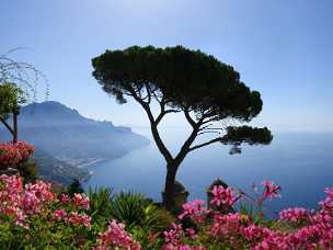 Campania