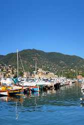 Rapallo Liguria Port Ship Yacht Boat Harbour Ocean Autumn Modern Art Print Fine Art America Tree - 002320 - 23-08-2007 - 4188x8213 Pixel Rapallo Liguria Port Ship Yacht Boat Harbour Ocean Autumn Modern Art Print Fine Art America Tree Grass Sale Stock Nature Sea Outlook Fine Art Photography Prints...