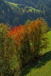 Single Shot Italy Panoramic Landscape Photography Scenic Lake Park Fine Art Photo - 018855 - 12-10-2015 - 5304x7952 Pixel Single Shot Italy Panoramic Landscape Photography Scenic Lake Park Fine Art Photo Fine Art Photography For Sale Autumn Sea Fine Art Photographers Fine Art...