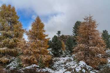 Single Shot Italy Panoramic Landscape Photography Scenic Lake Art Photography For Sale Grass - 018923 - 15-10-2015 - 7952x5304 Pixel Single Shot Italy Panoramic Landscape Photography Scenic Lake Art Photography For Sale Grass Landscape Photography Rock Stock Image Country Road Color Ice Fine...