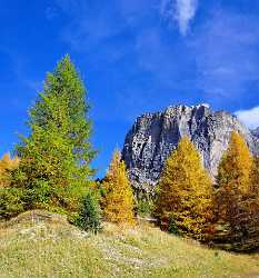 Groedner Joch Passo Di Gardena Spring Fine Art Landscape Photography Leave Fine Art Posters - 000227 - 22-10-2006 - 3795x4077 Pixel Groedner Joch Passo Di Gardena Spring Fine Art Landscape Photography Leave Fine Art Posters Fine Art Photography Prints Hi Resolution Photo Fine Art Fine Art...