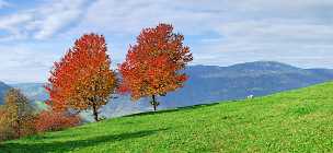 South Tyrol 1 Alto Adige - Panoramic - Landscape - Photography - Photo - Print - Nature - Stock Photos - Images - Fine Art Prints -...